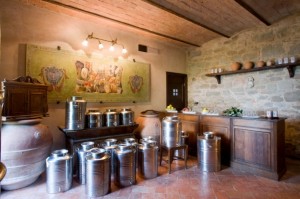 Tuscan Oleoteca of Villa Campestri Olive Oil Resort