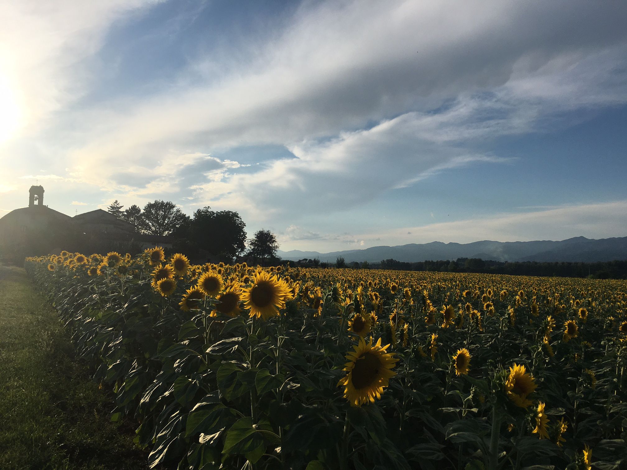 Il resort Villa Campestri vicino a Firenze