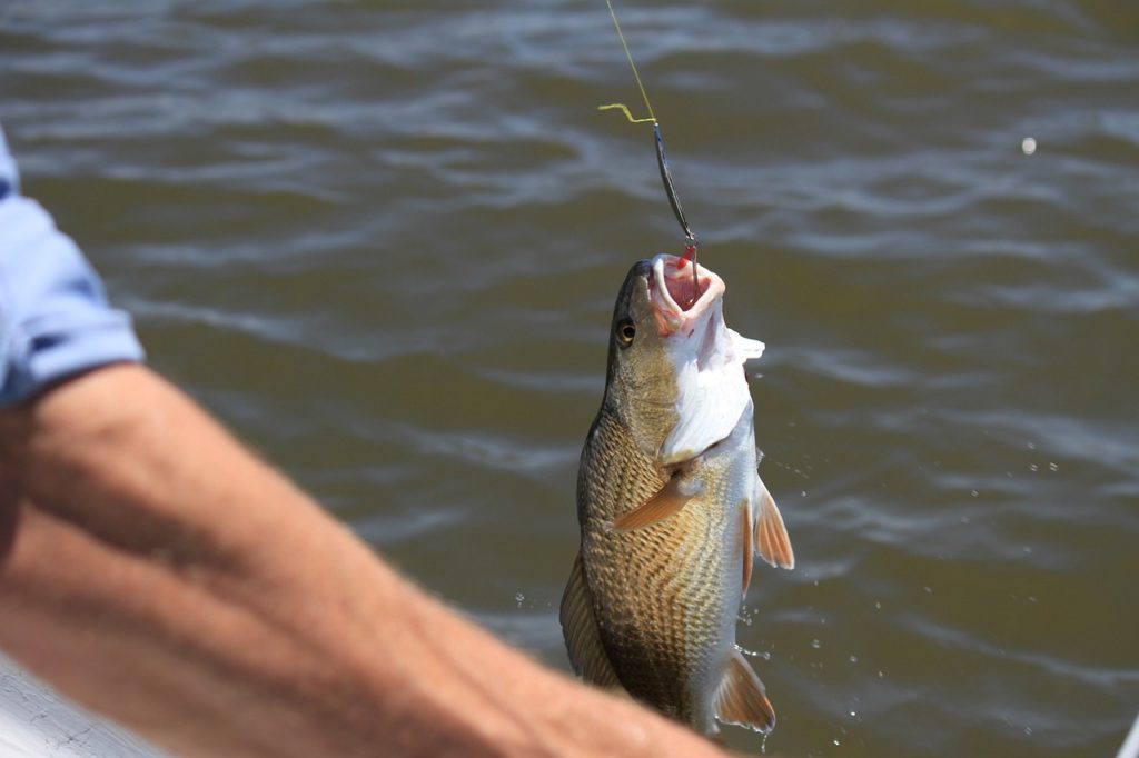 Sport Fishing in Tuscany